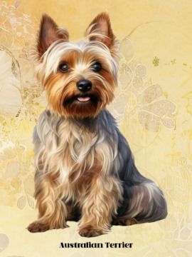 Australian Terrier product image (1)