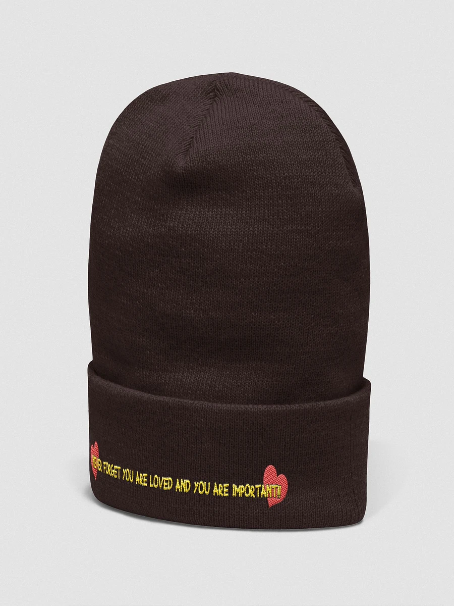 LOVED BEANIE!! product image (2)