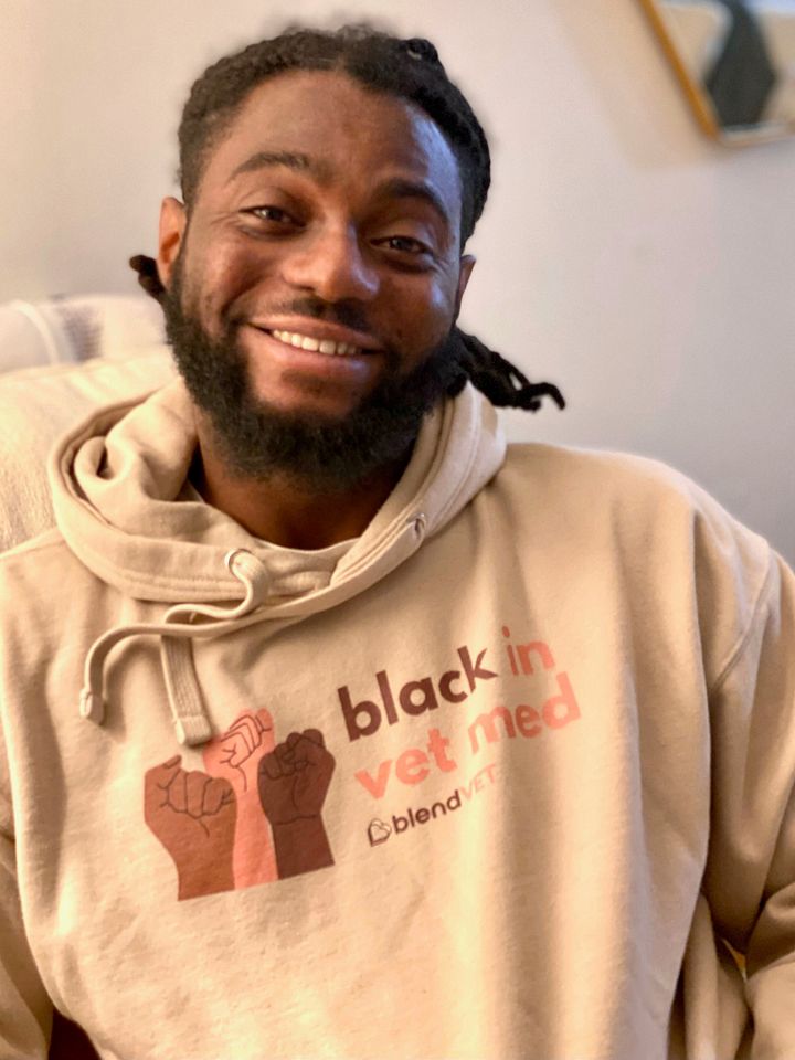 Black in Vet Med Hoodie product image (1)