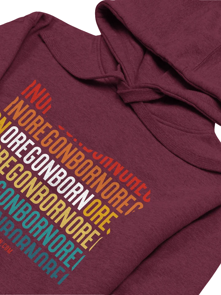 OregonBorn Vintage Sunset Hoodie product image (2)