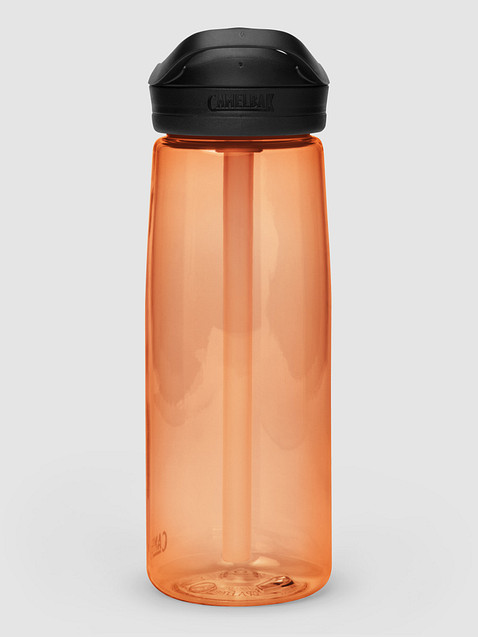 Photo showing  CamelBak Eddy®+  Sports Water Bottle