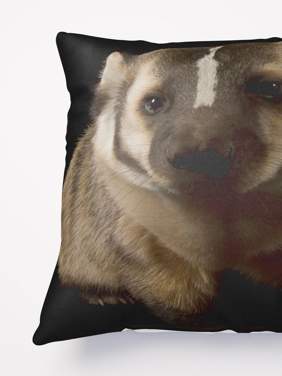 cuddle with a real badger product image (6)