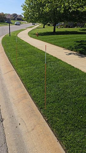 Town-wide garage sale today and tomorrow. Already had someone drive up into the lawn. It's time to break out the snow stakes ...