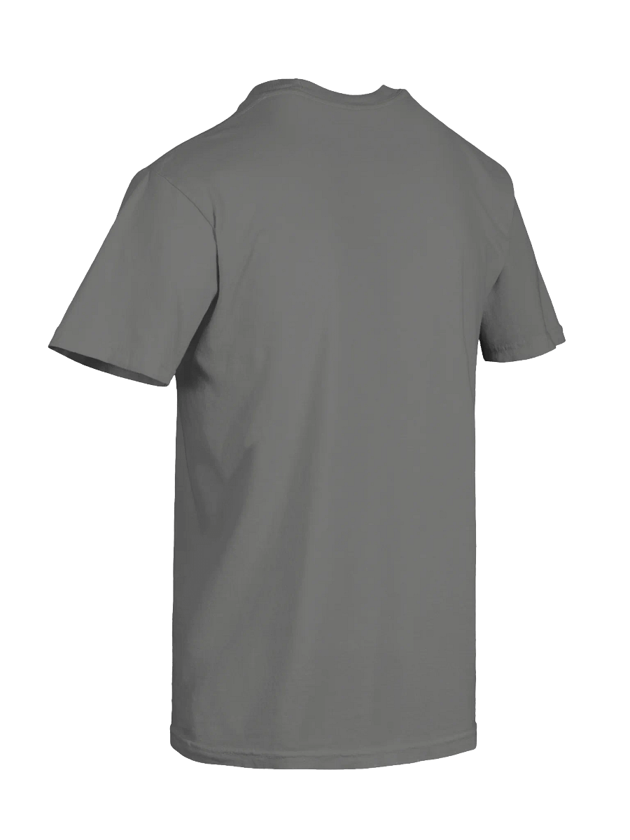 Resist and Withstand Comfort Tee product image (16)