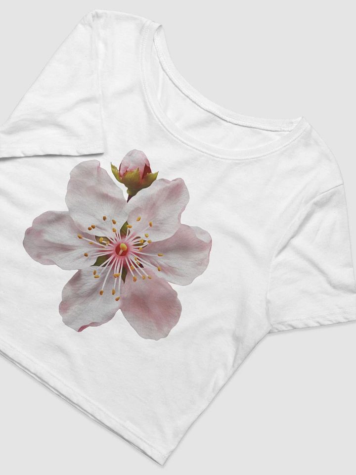 Cherry Blossom crop tee product image (2)