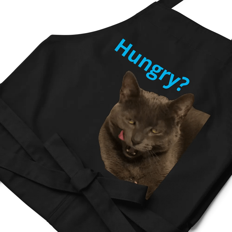 Sansa Kitty 