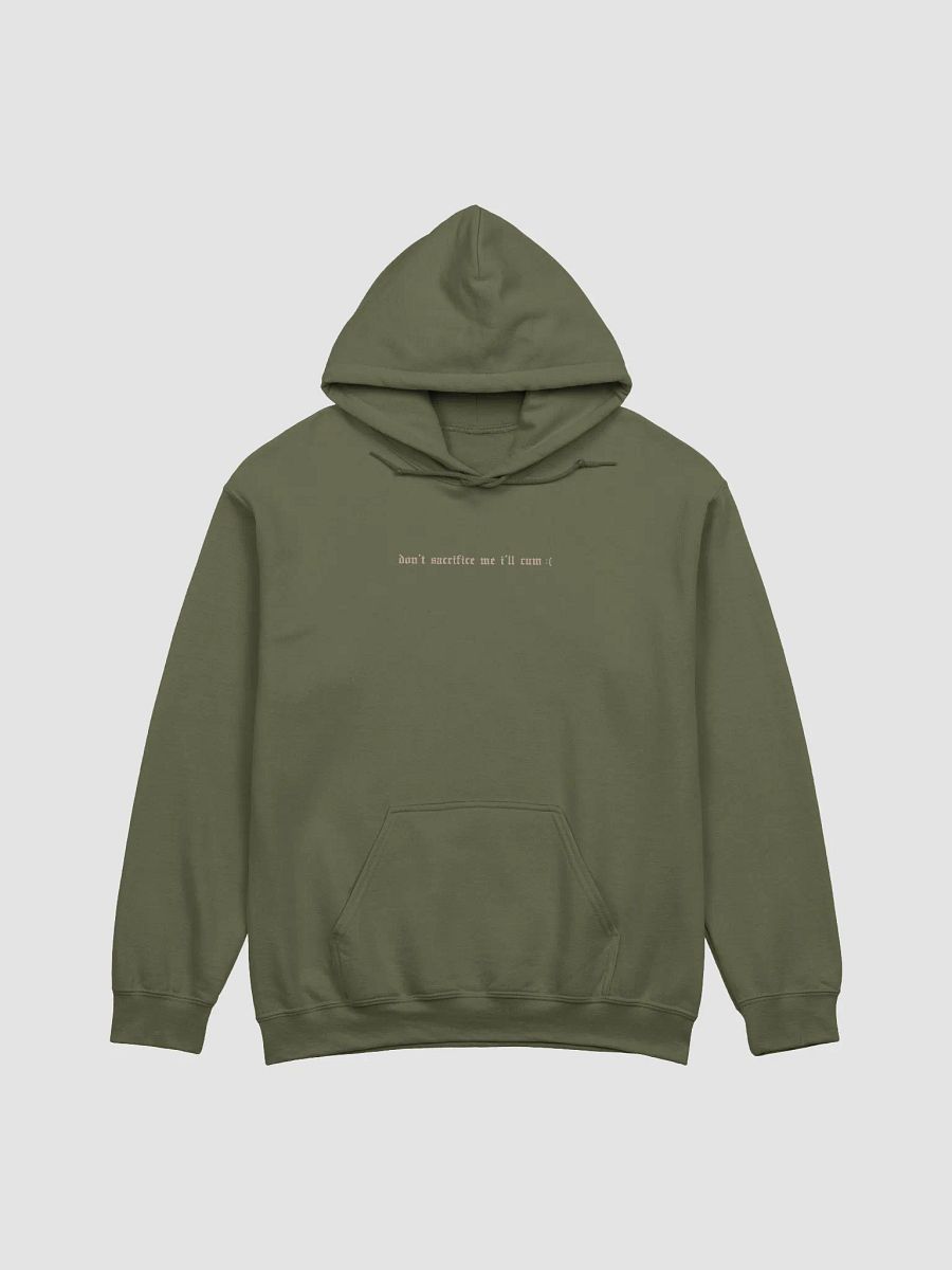 'Don't Sacrifice Me I'll Cum :(' Hoodie (9 Colours Available) product image (1)