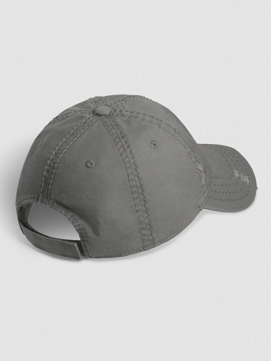 Hungarian Garden Distressed Dad Hat product image (3)