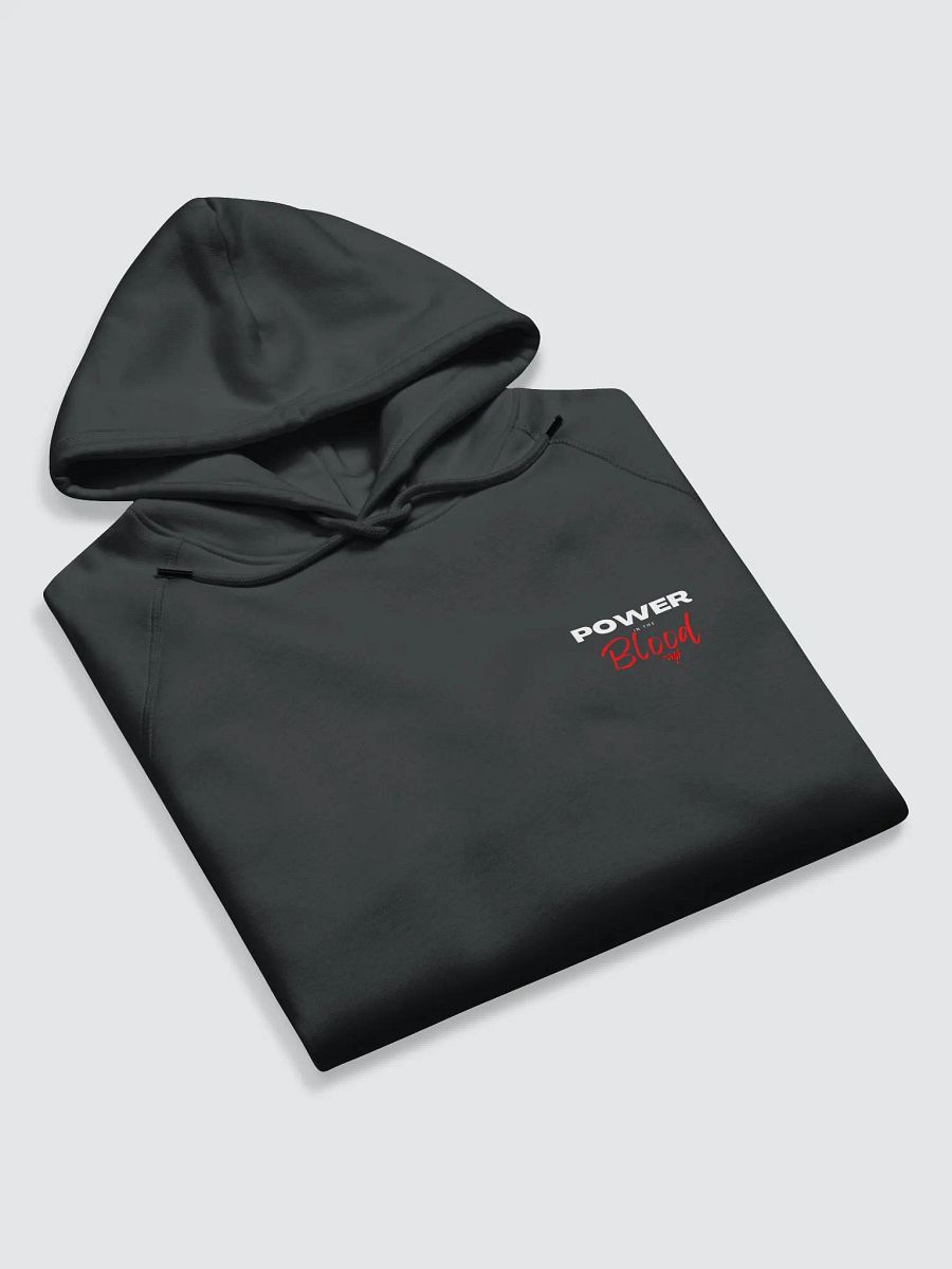 Power In the Blood | Organic Cotton | Hoodie Male product image (6)