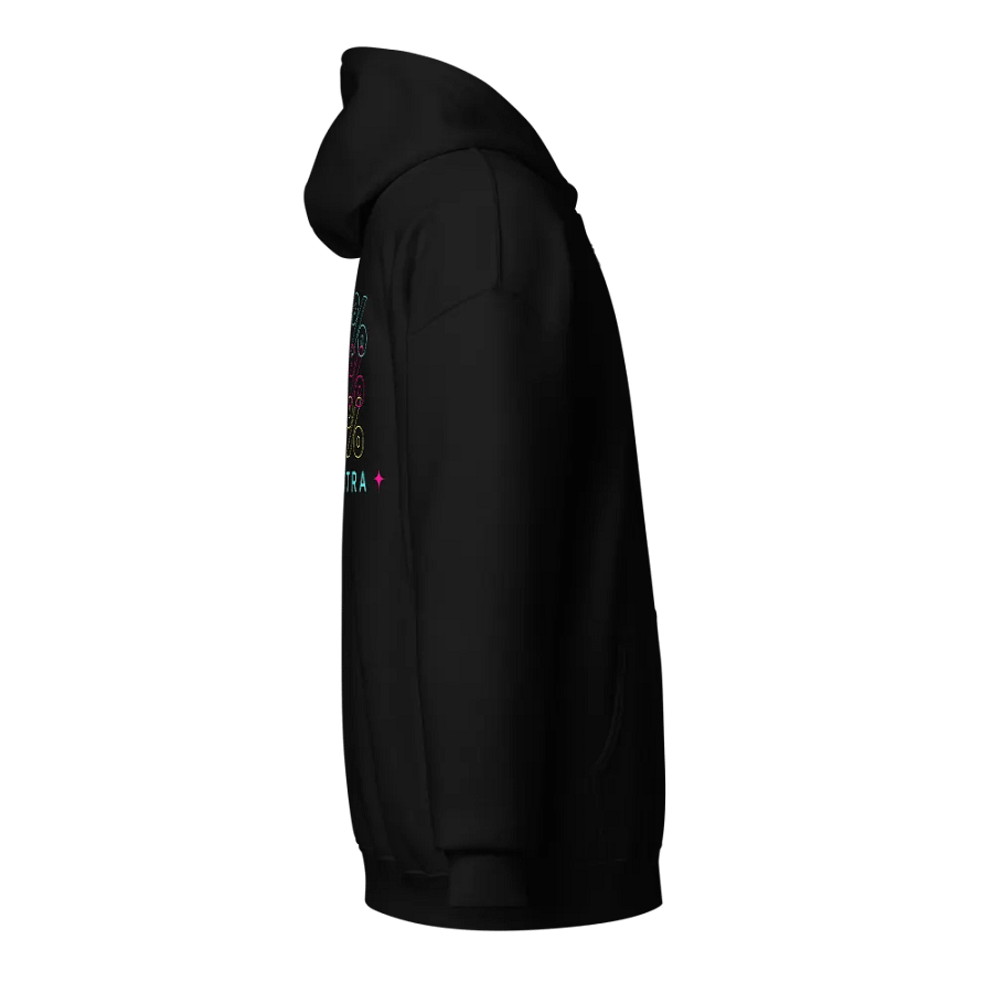 F2BR Collection: "100% Real Extra" Zip Hoodie product image (4)