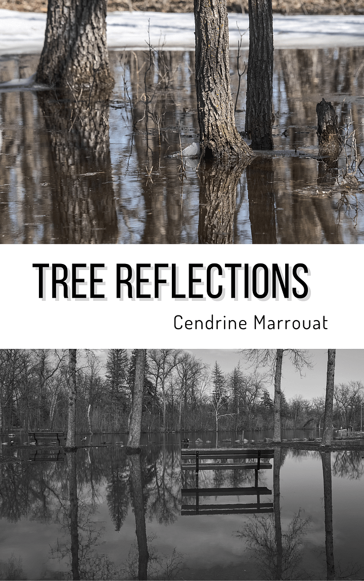 Tree Reflections product image (1)