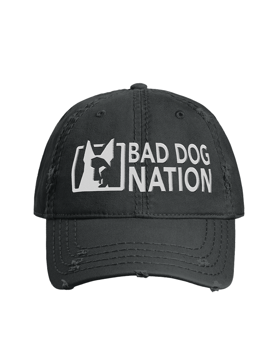 Bad Dog Nation - Embroidered Distressed Dad Hat product image (1)