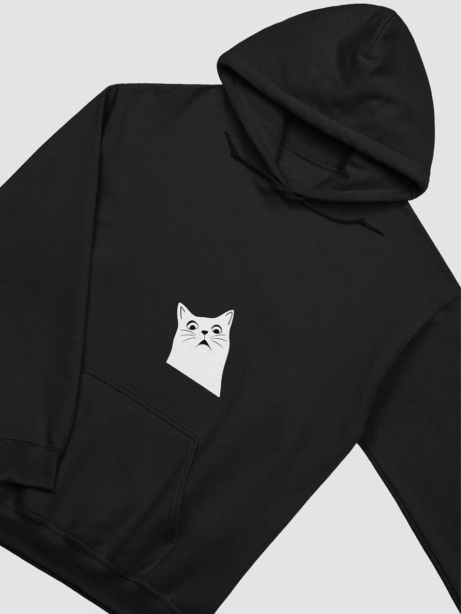 Surprised Cat Classic Hoodie product image (38)