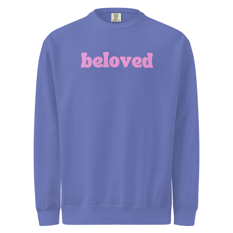 the beloved sweatshirt product image (1)