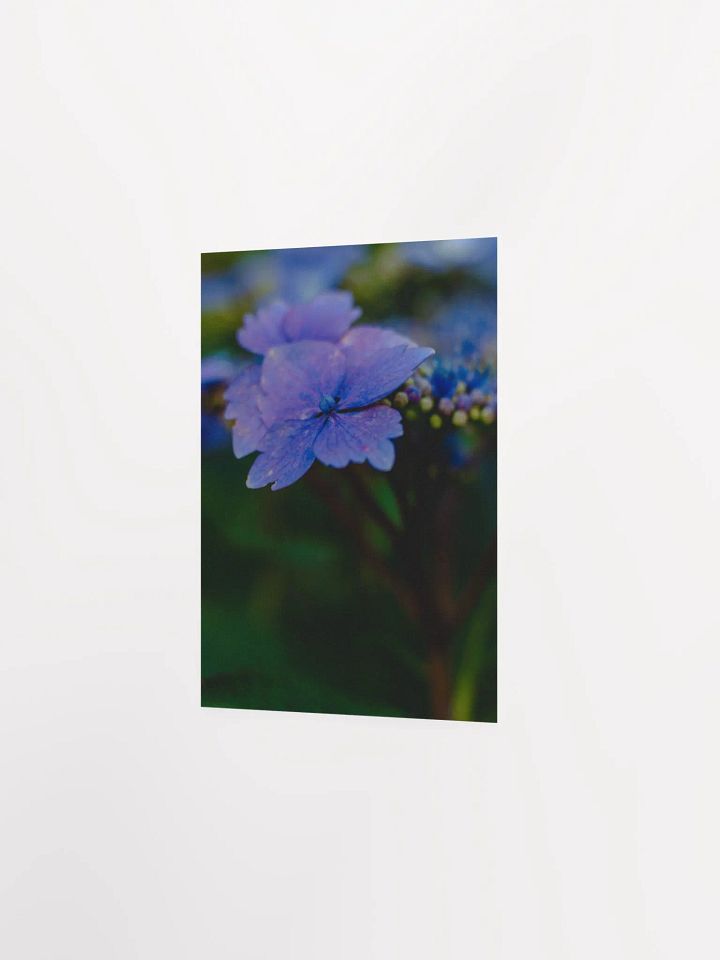 Blooming In The Sun product image (2)