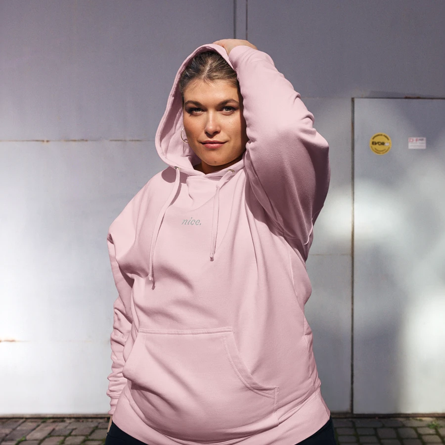Nice. Embroidered Hoodie (Pink/White) product image (9)