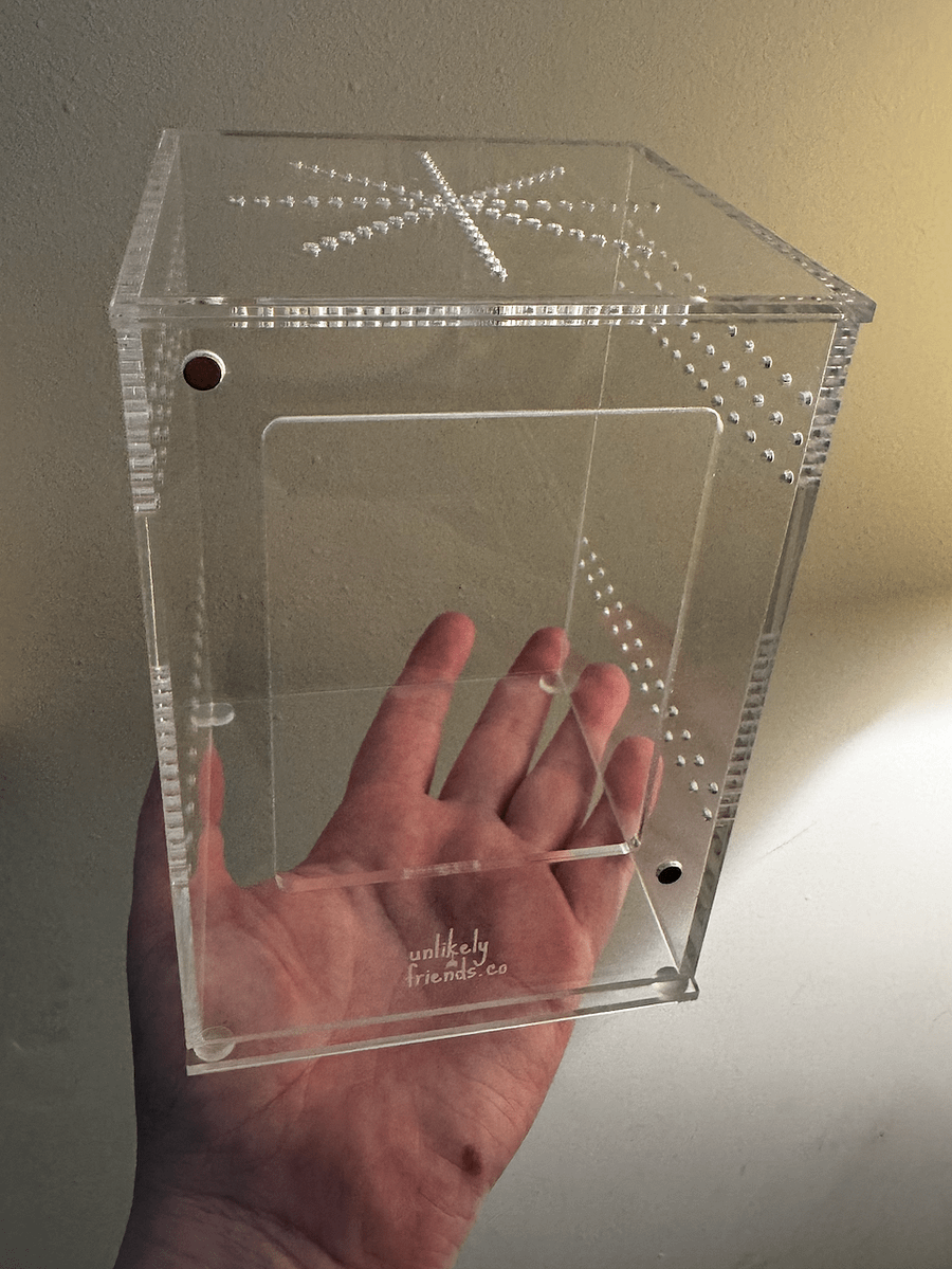 CLEARANCE medium juvenile jumping spider enclosure product image (2)