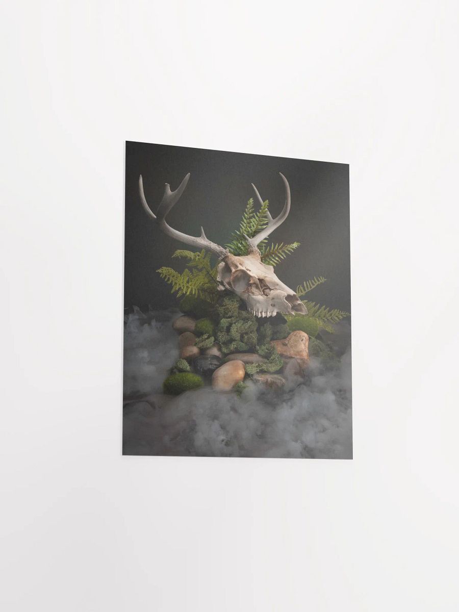 "Out of the Fog" - 8x10 Matte Print product image (4)