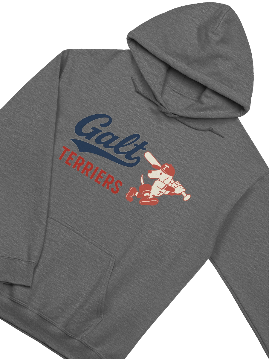 Galt Terriers Hoodie product image (16)