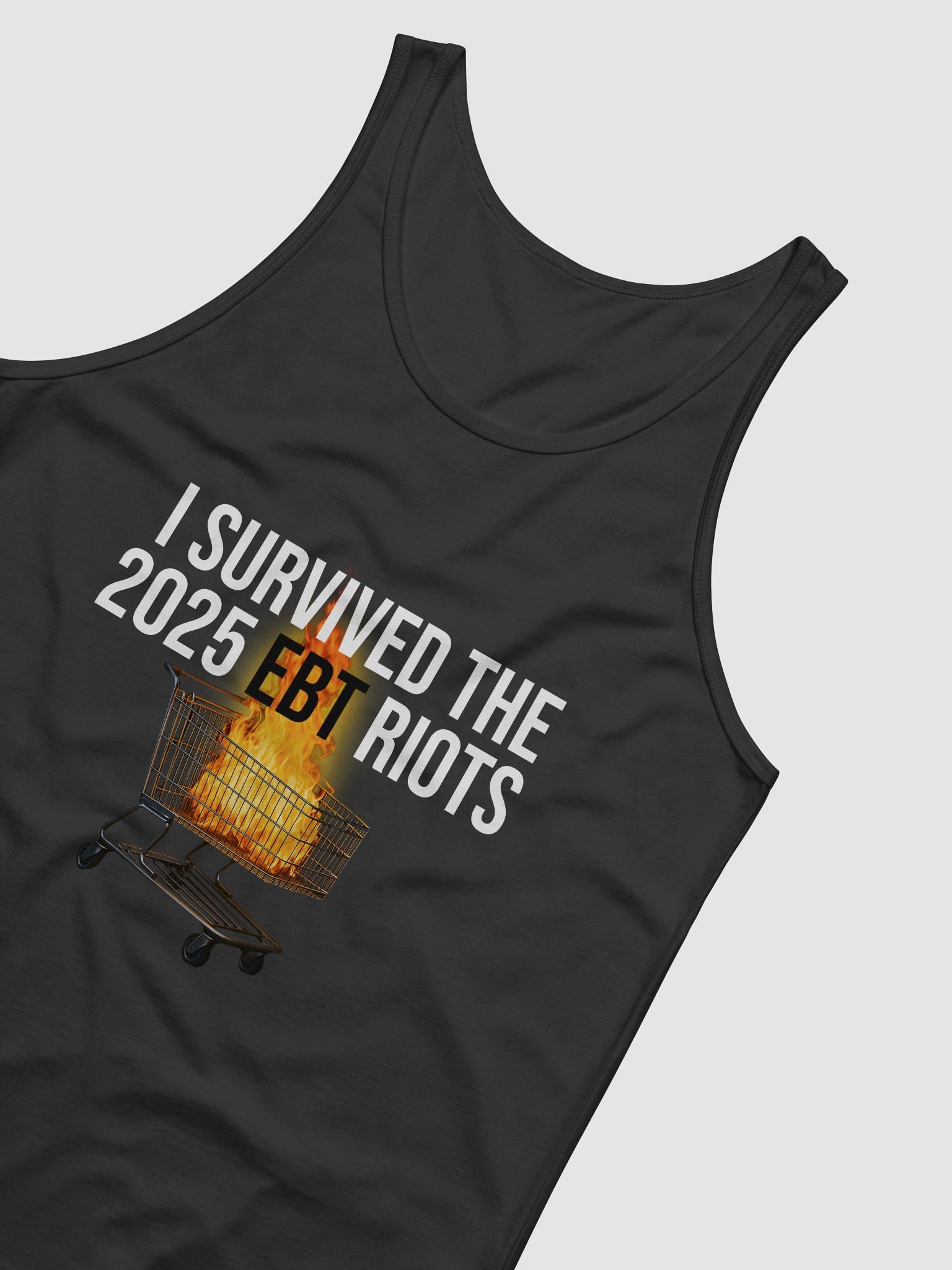 I Survived The 2025 EBT Riots product image (4)