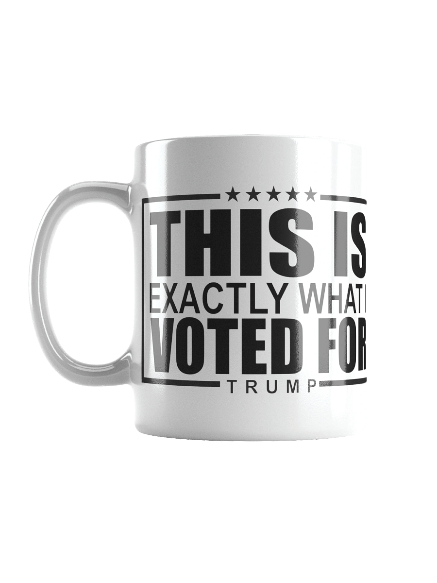 This Is What I Voted For Mug (White) product image (2)