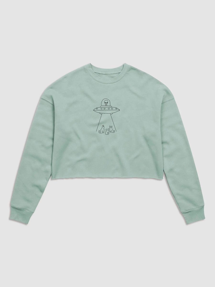 Beam Meows UFO Crop Sweatshirt product image (3)