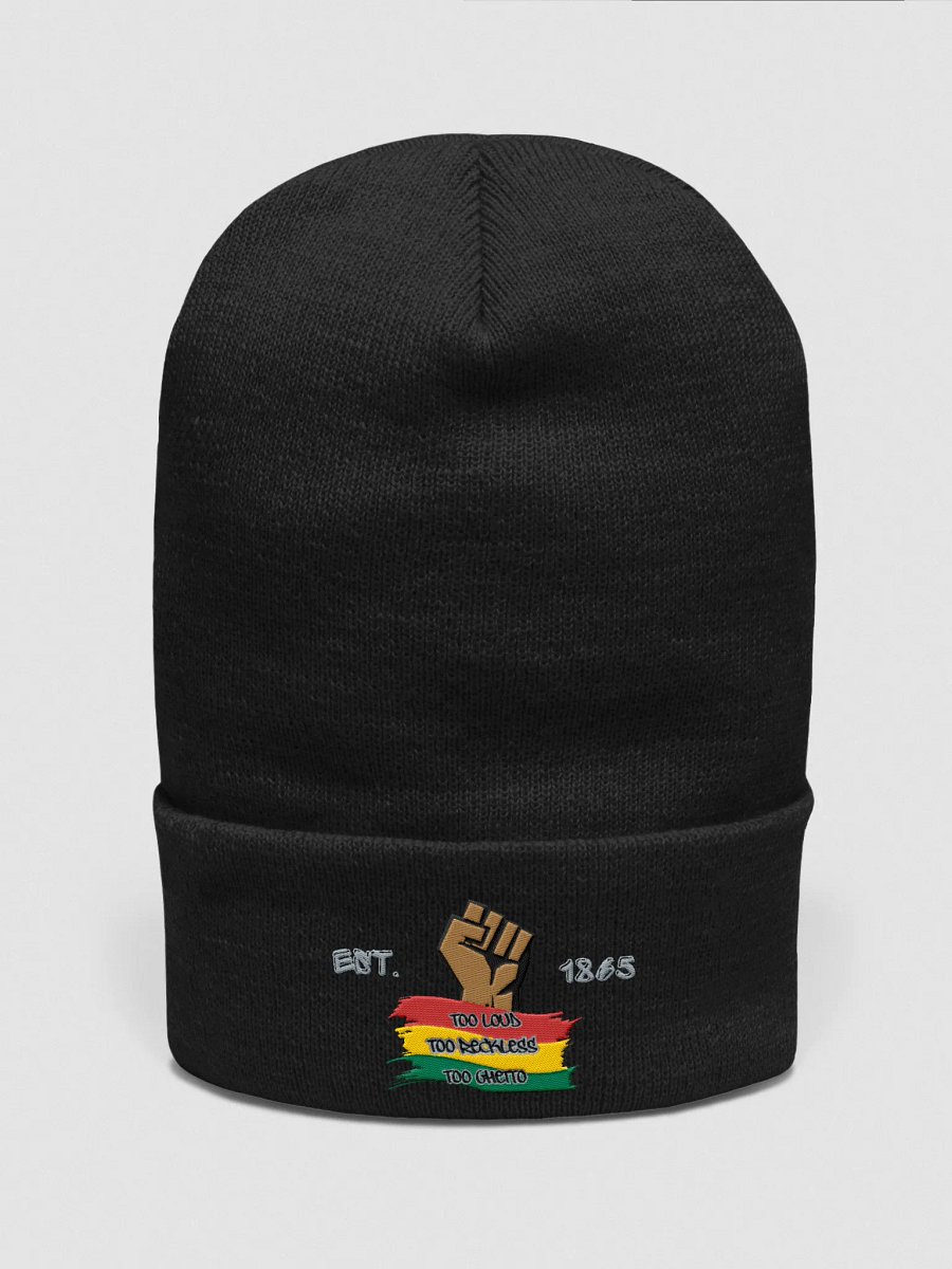 TOO LOUD TOO RECKLES TOO GHETTO BEANIE product image (1)