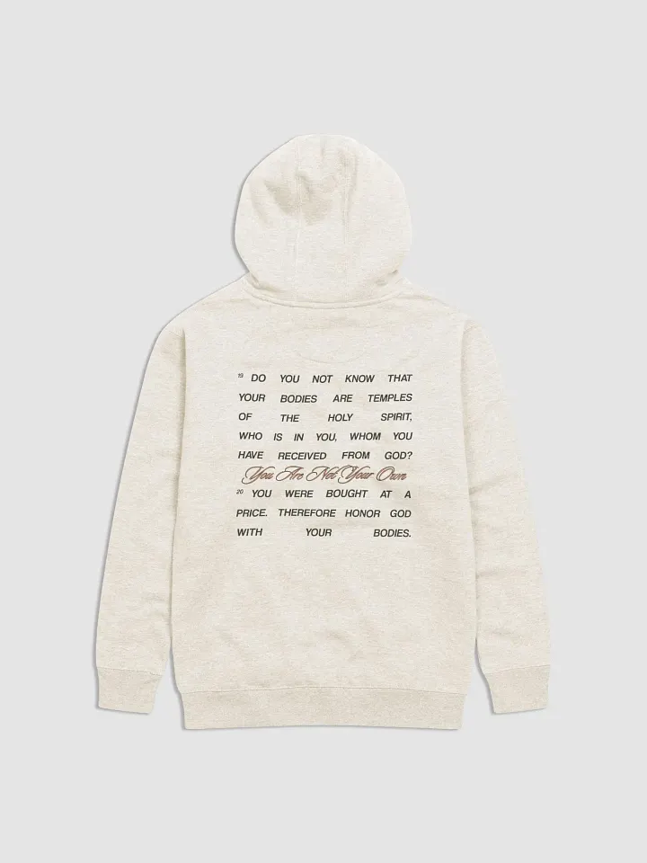 "1 Corinthians6:19-20" Hoodie – Season 3 Collection product image (1)