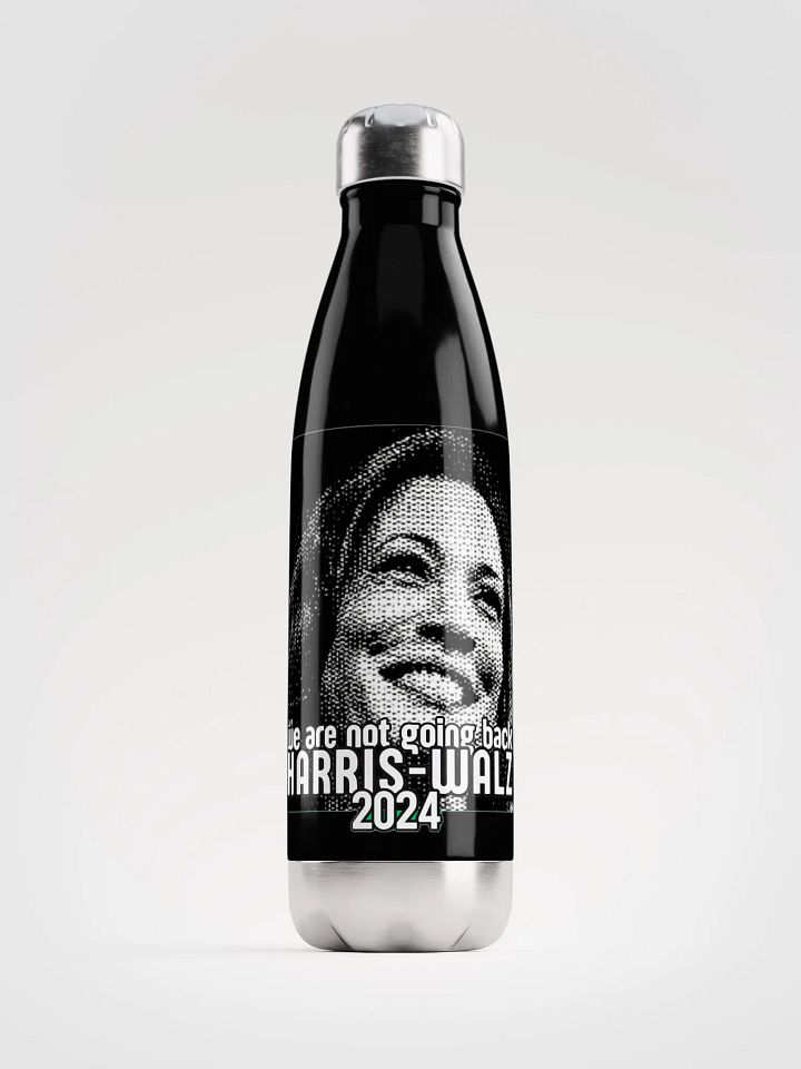 HARRIS-WALZ 2024 WE ARE NOT GOING BACK product image (1)