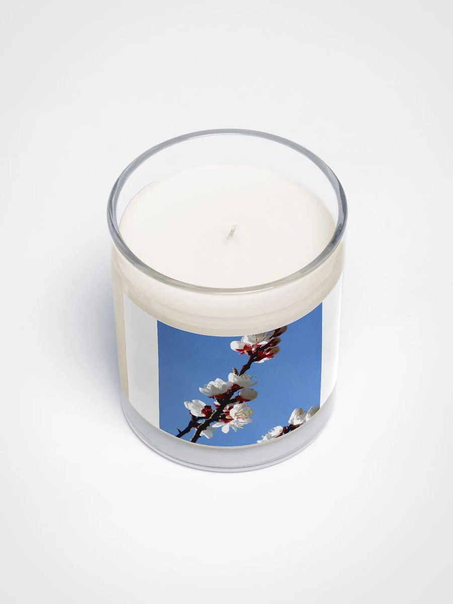 Apricot Blossoms by Candle Light product image (3)