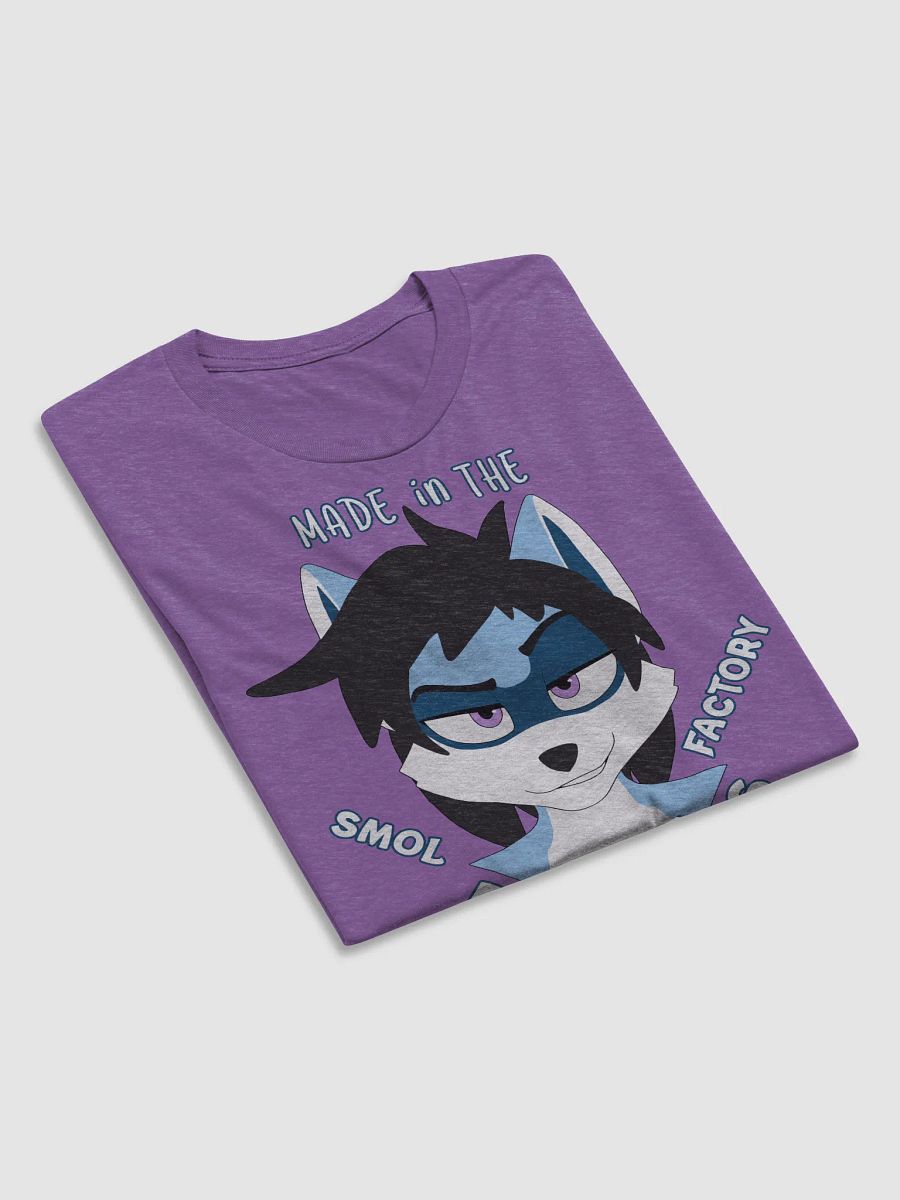 Ryder | Triblend T-shirt | Quote #1 product image (4)