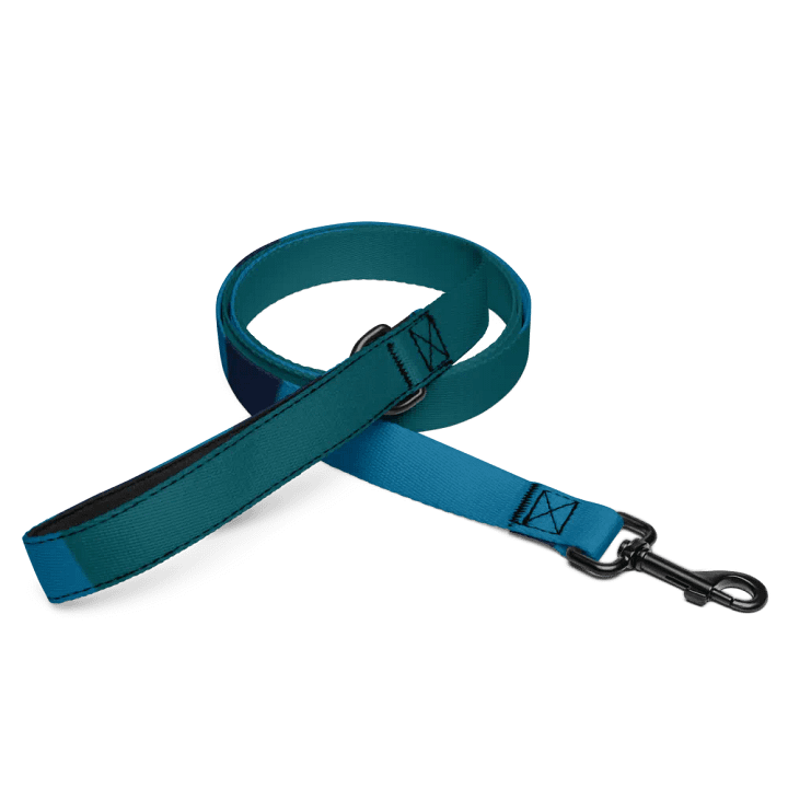 Vibrant Custom Pet Leash product image (2)