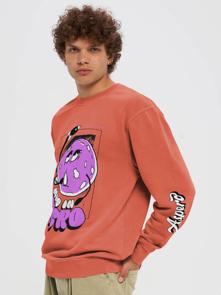 Moon Aspero Independent Trading Co. Unisex Midweight Pigment Dyed Sweatshirt product image (5)