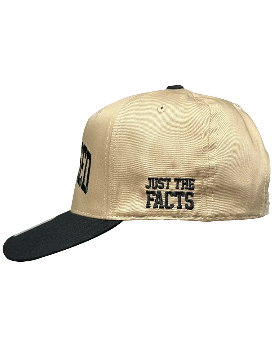 JUST THE FACTS SNAPBACK product image (4)