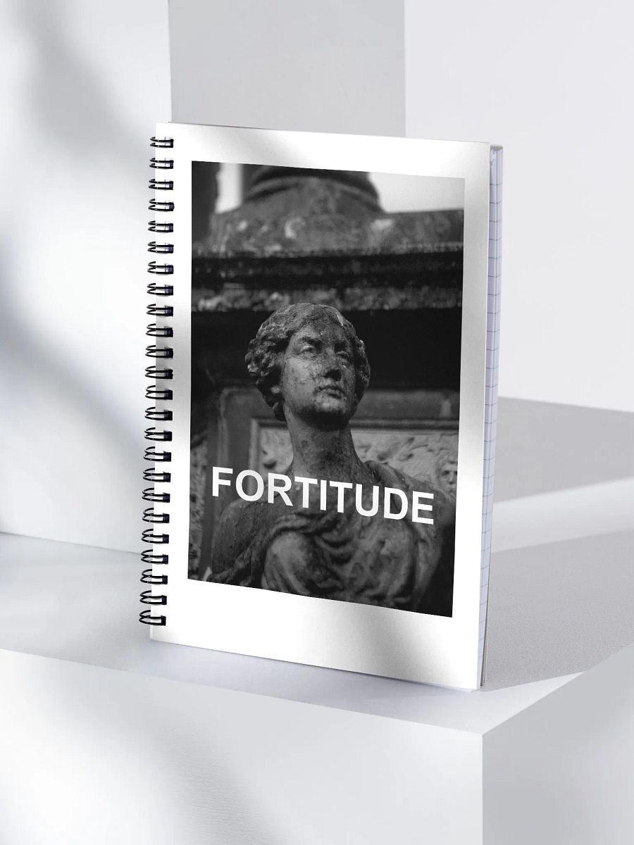 Notebook Fortitude product image (4)