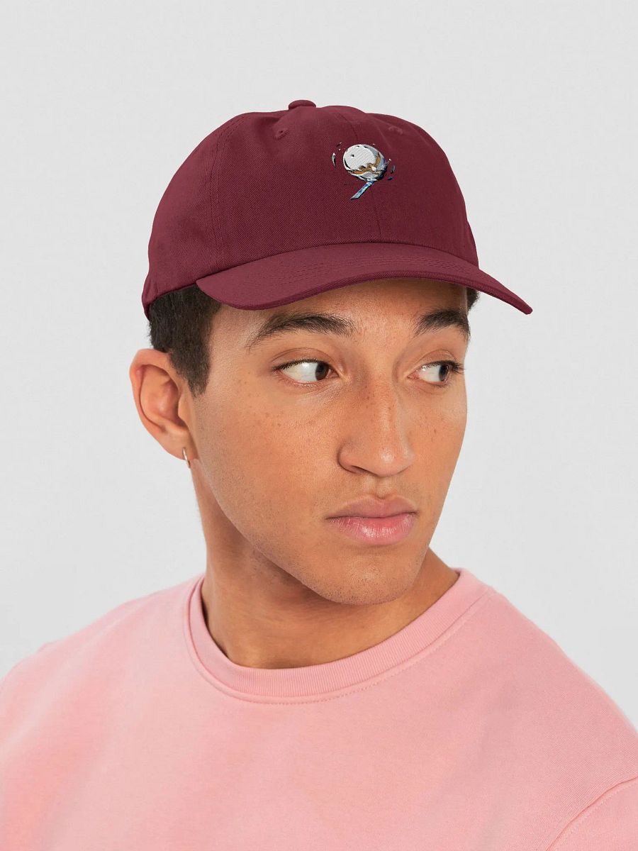 Who cares? Hawke Cares! Dad hat! product image (6)