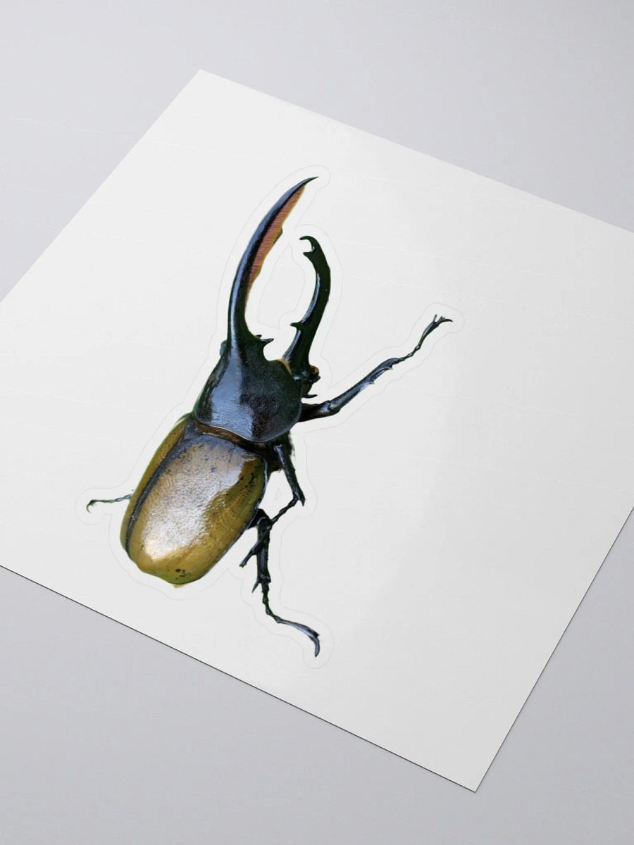 Rhinoceros Beetle Kiss Cut Stickers product image (7)