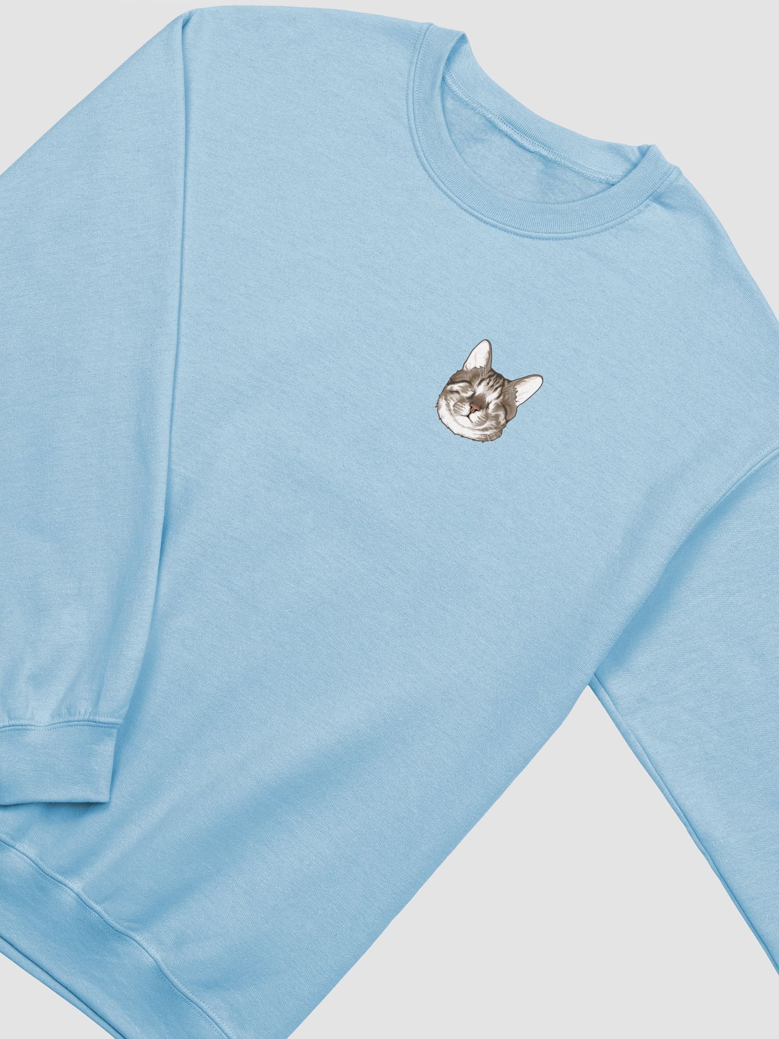 Blind Cat Dmitri Sweatshirt product image (4)