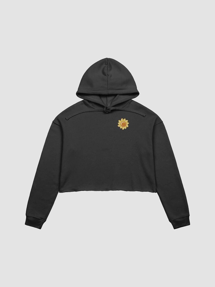 Spycic Cropped Hoodie product image (1)