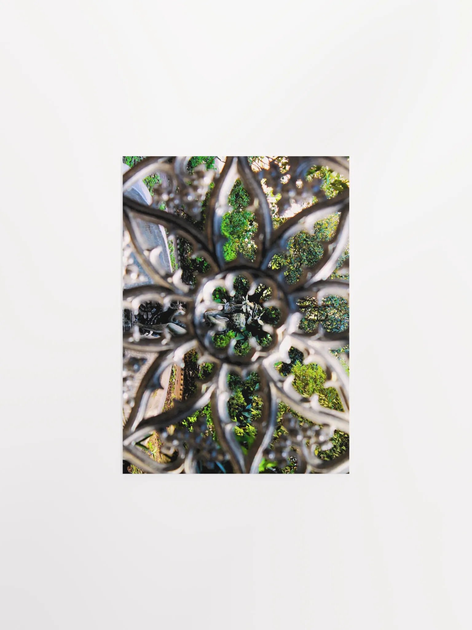 Garden of Eden product image (6)