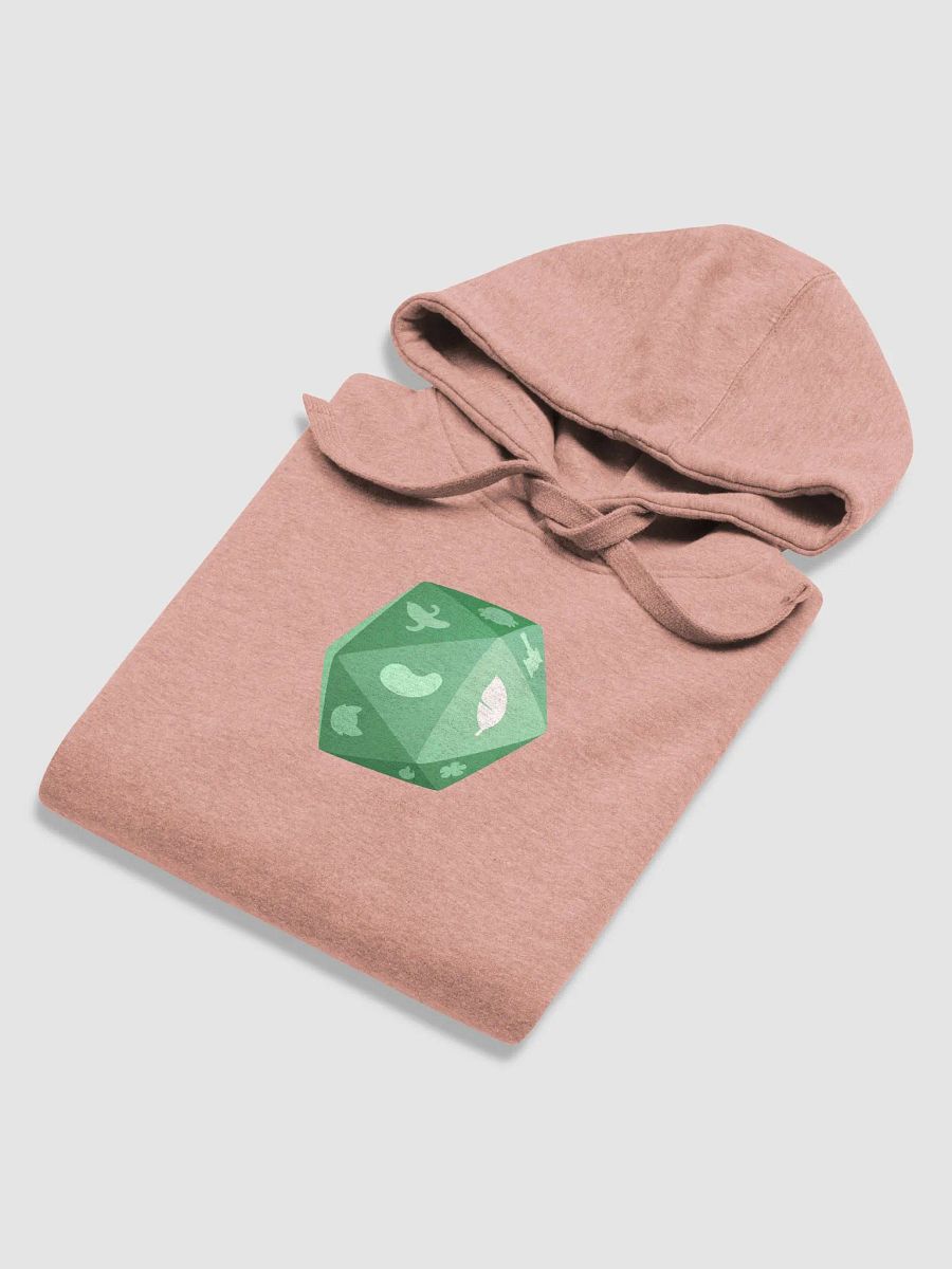 b20 - Willow Hoodie product image (5)