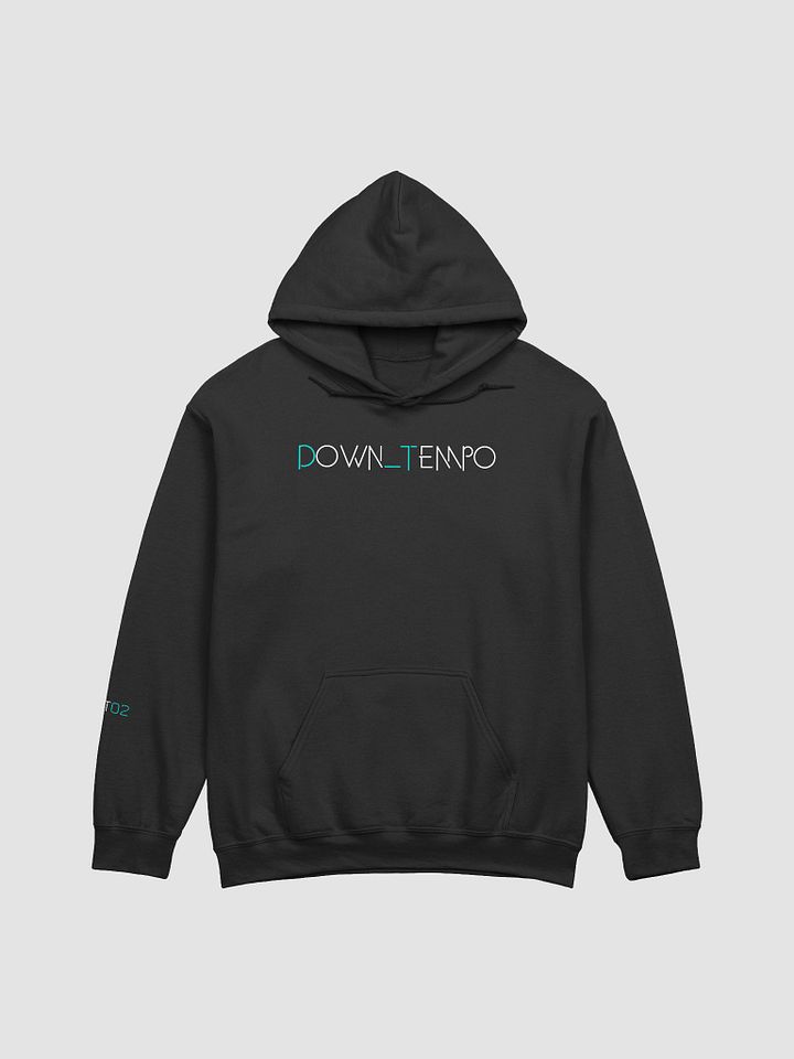 Down_Tempo Collection D_T02 Hoodie product image (2)