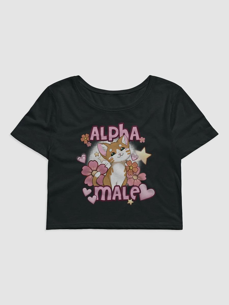 Alpha Male || Crop Top product image (1)