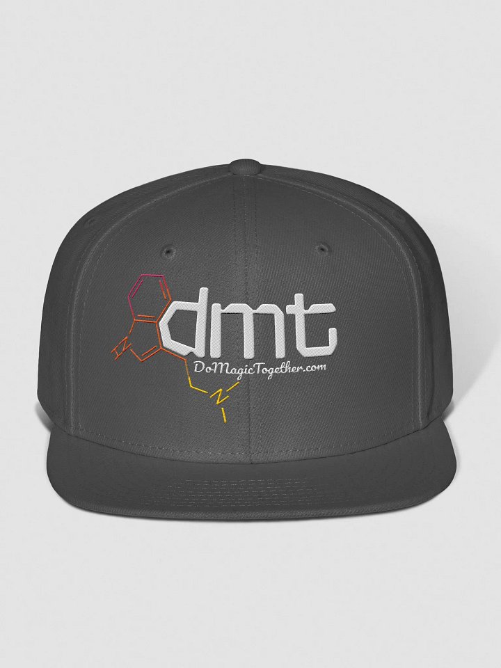 DoMagicTogether Snap-Back Hat product image (1)