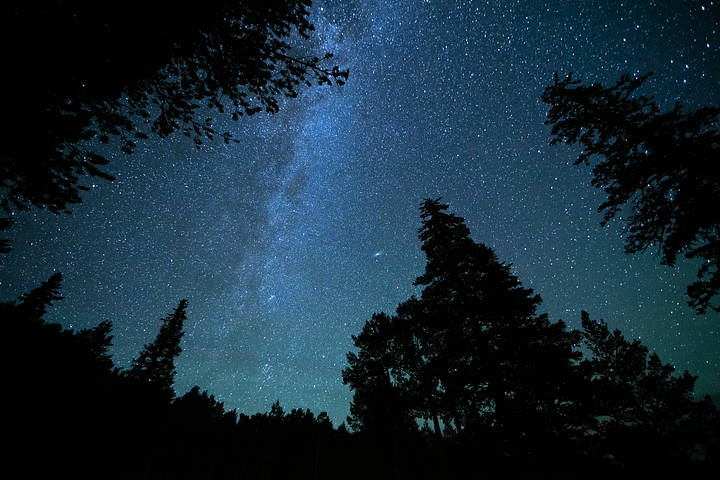 Print - Great Basin National Park, NV product image (13)