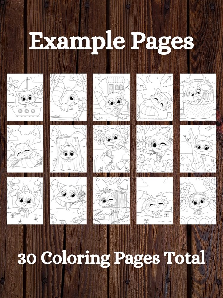 Raccoon Printable Coloring Pages for Kids product image (3)