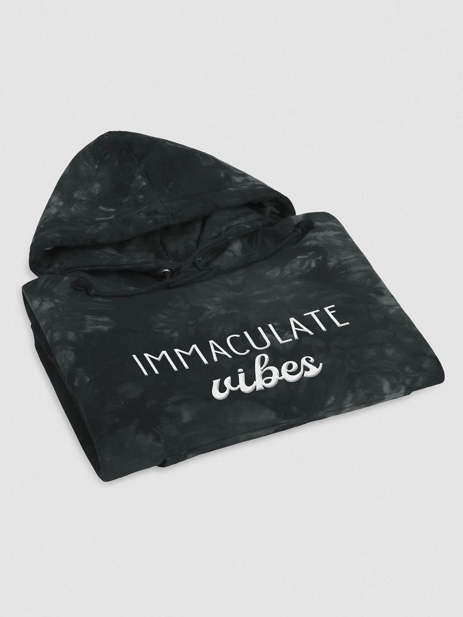 Embroidered Vibes Hoodie product image (11)