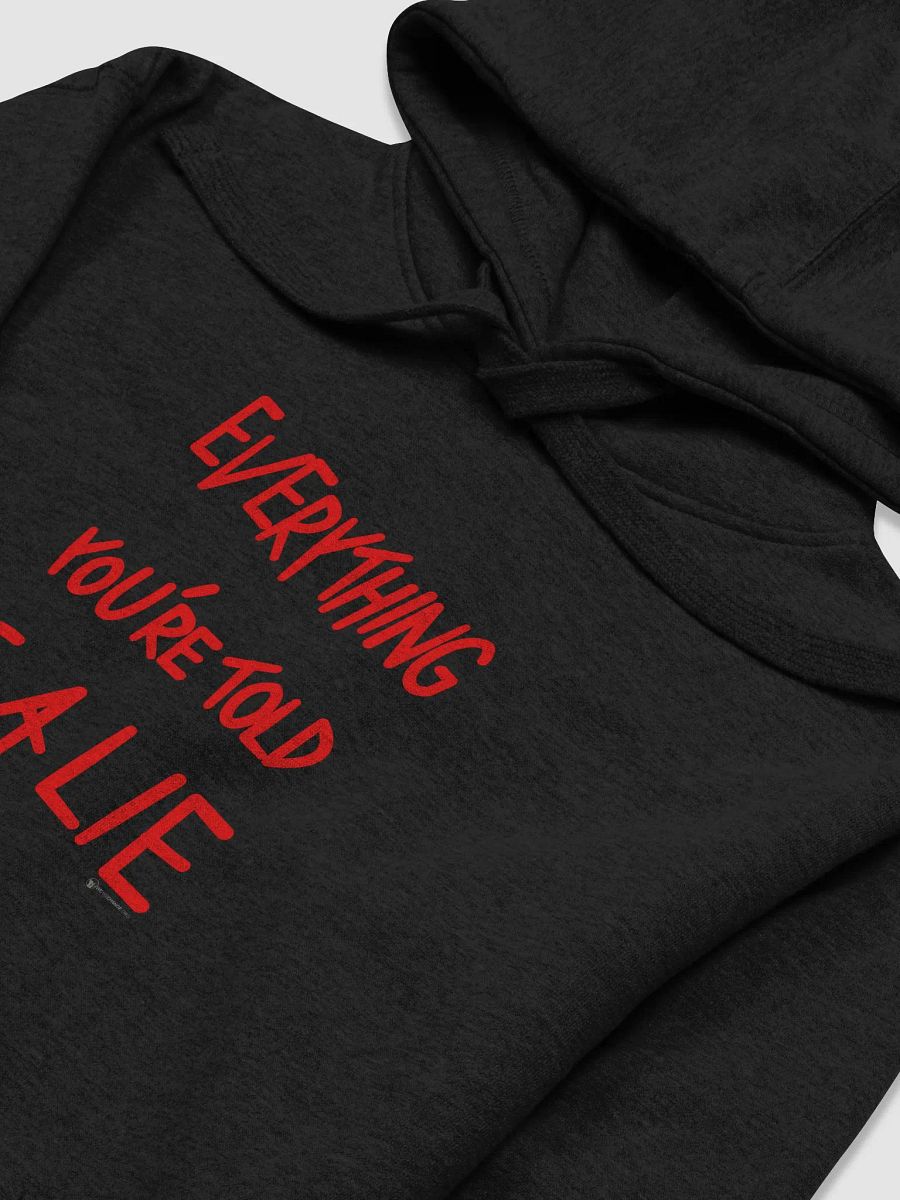 Everything You're Told product image (6)