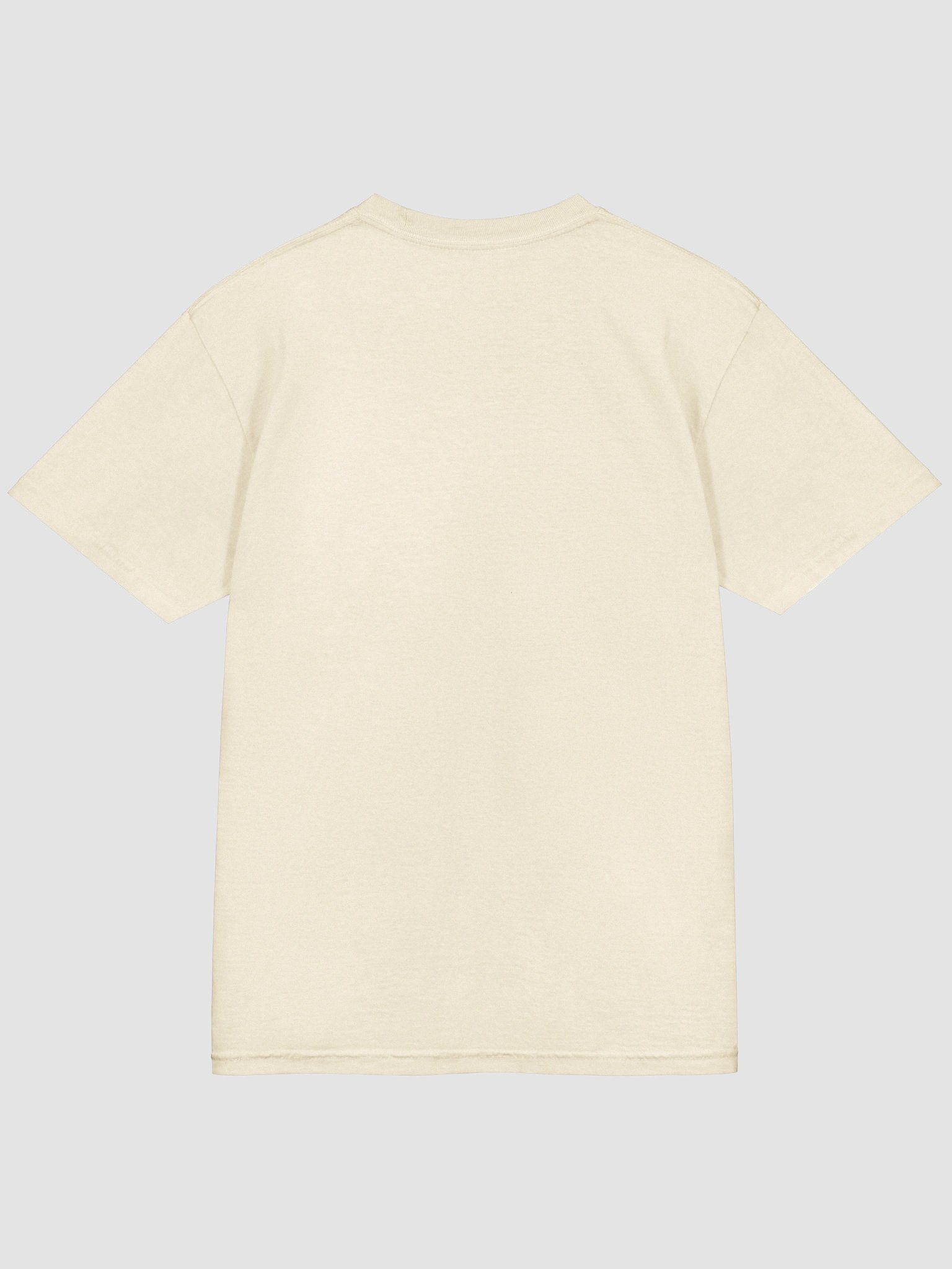 Passionfruit T-Shirt product image (4)