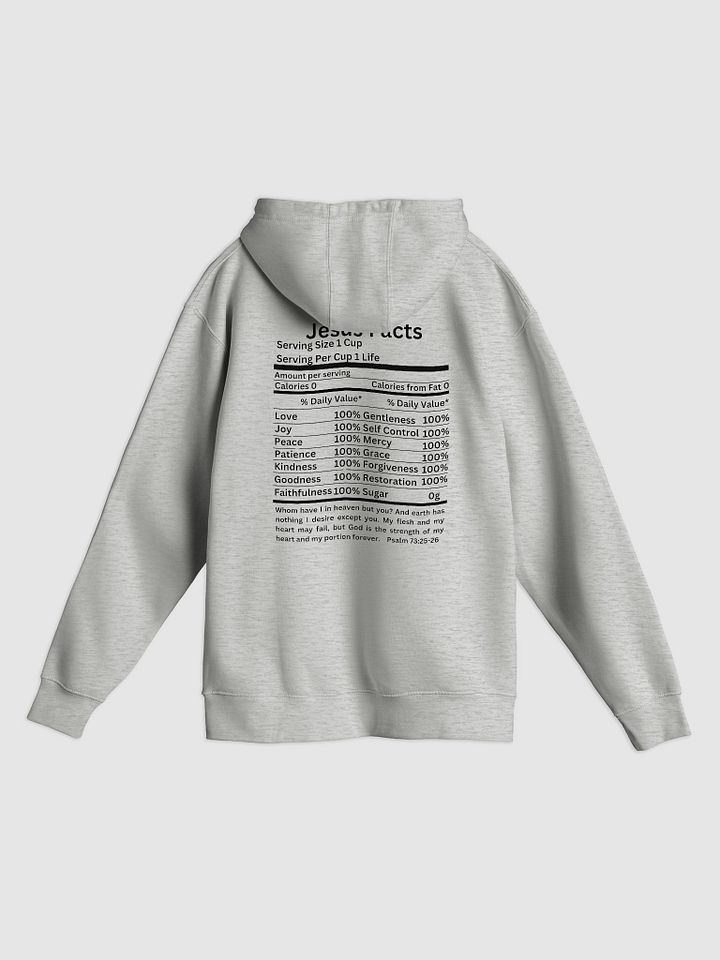 Jesus facts Unisex hoodie product image (2)